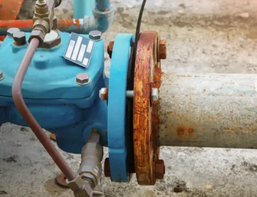 Holiday Water Use Spike: How to Avoid Overloading Your Well During Family Visits